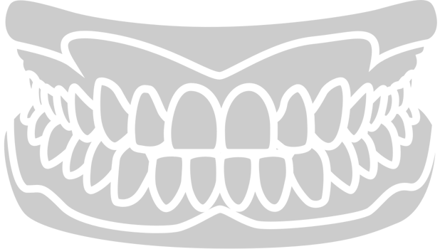 Teeth vector