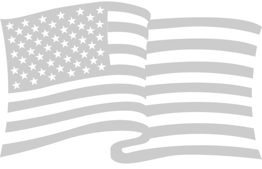 American Flag vector