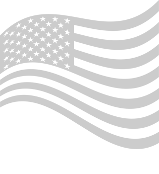 American Flag vector