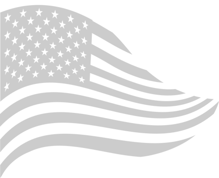American Flag vector