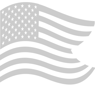 American Flag vector
