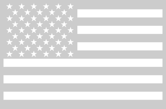 American Flag vector