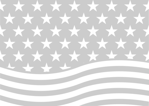 American Flag vector