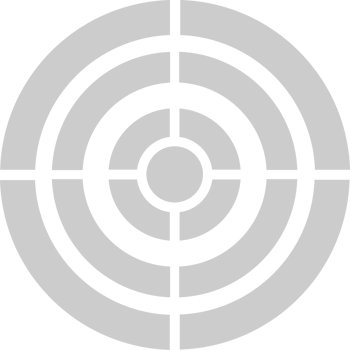 Archery target  vector