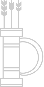 Arrows vector