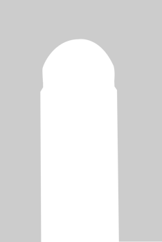 Arch  vector