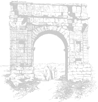 Arch vector