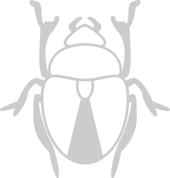 Egypt scarab vector