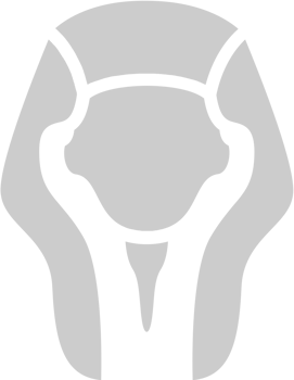 Egypt pharaoh vector