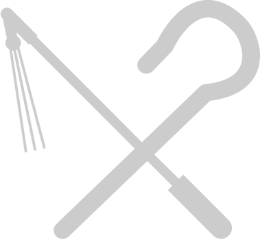 Egyptian hieroglyphic  vector