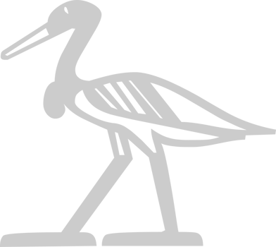 Egyptian hieroglyphic  vector