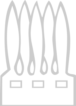 Egyptian hieroglyphic  vector