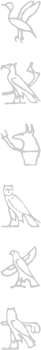 Egyptian hieroglyphic  vector