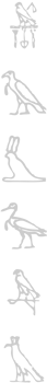 Egyptian hieroglyphic  vector