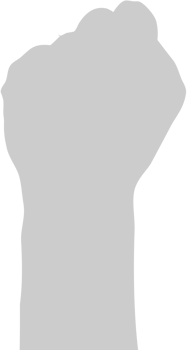 Fist  vector