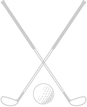Golf stick vector