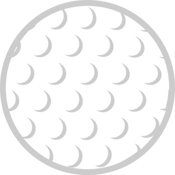 Golf ball vector