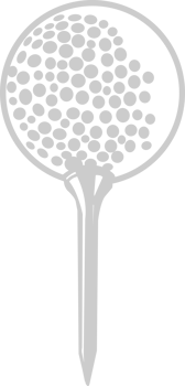 Golf ball and pin vector