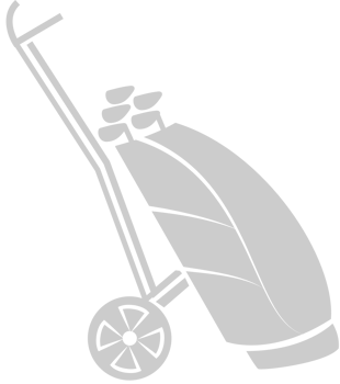 Golf bag vector