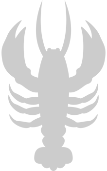 Lobster vector