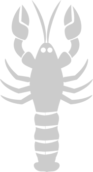 Lobster vector