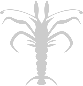 Lobster vector