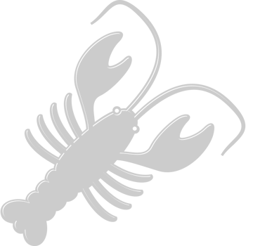 Lobster  vector