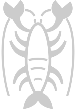Lobster outline vector