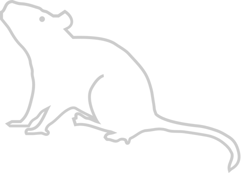 Mouse animal outline vector