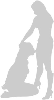Sex position vector