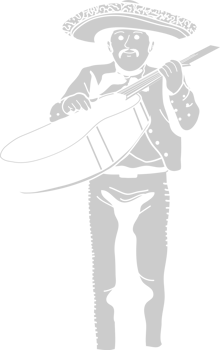 Mariachi player sombrero vector