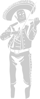 Mariachi player sombrero vector
