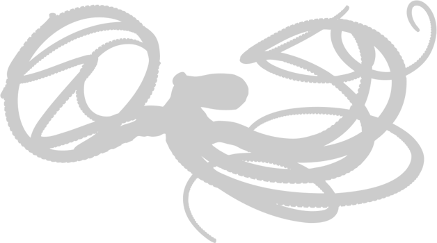 Octopus vector