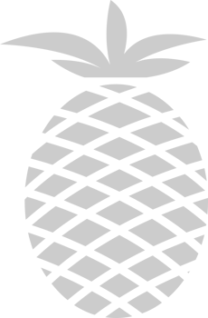 Pineapple  vector