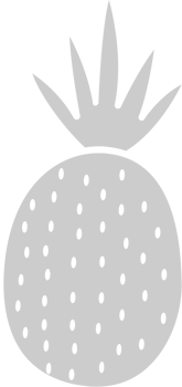 Pineapple  vector