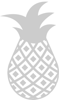 Pineapple  vector