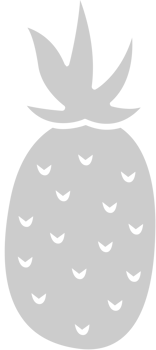 Pineapple  vector