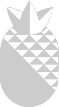 Pineapple  vector