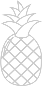 Pineapple outline vector