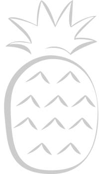 Pineapple outline vector