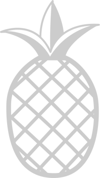 Pineapple outline vector