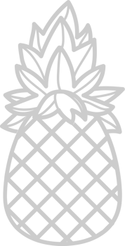 Pineapple outline vector
