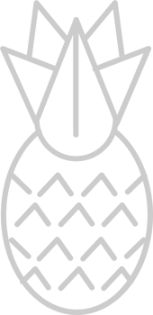 Pineapple outline vector