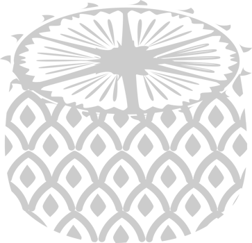 Pineapple slices vector