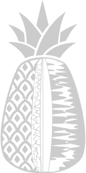 Pineapple slices vector