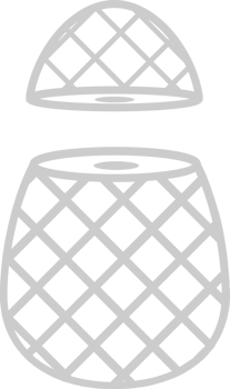 Pineapple slices vector