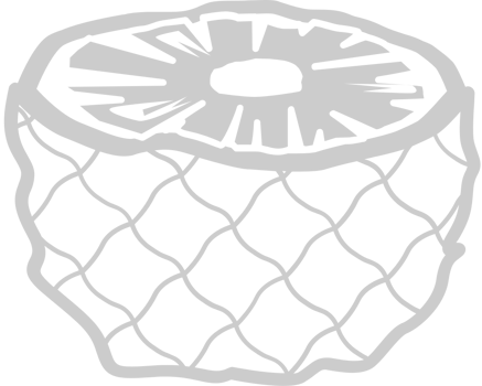 Pineapple slices vector