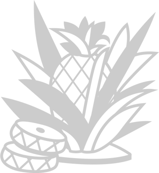 Pineapple slices vector