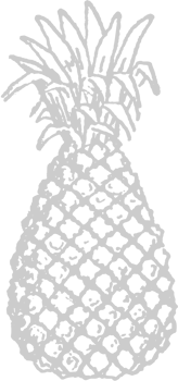 Pineapple sketch vector