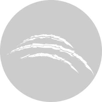 Scratch claw on circle shape vector